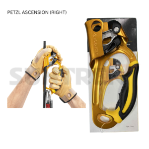 ASCENDER - ASCENSION (RIGHT & LEFT)